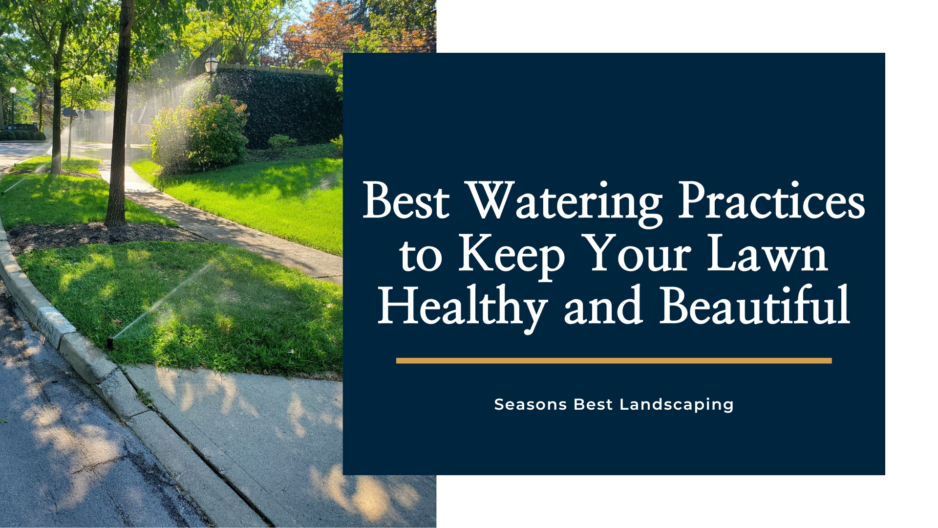 Best Watering Times for Your Grass - Seasons Best Landscaping