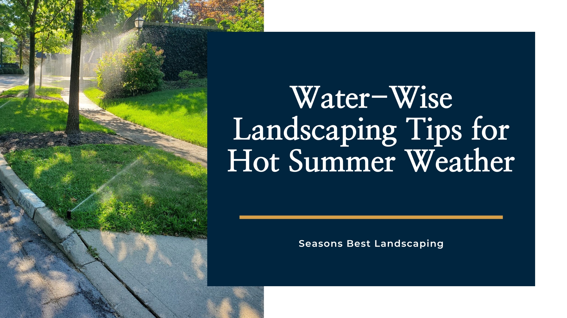 Best Time to Water Plants in Hot Weather - Seasons Best Landscaping