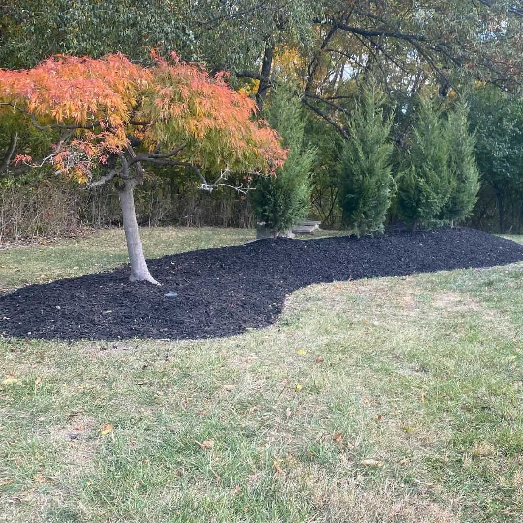Cincinnati Tree Installation and Removal - Seasons Best Landscaping