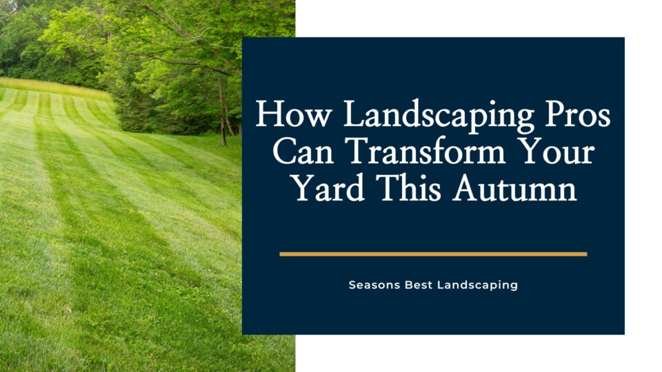 Fall Lawn Maintenance Blog Image Seasons Best Landscaping