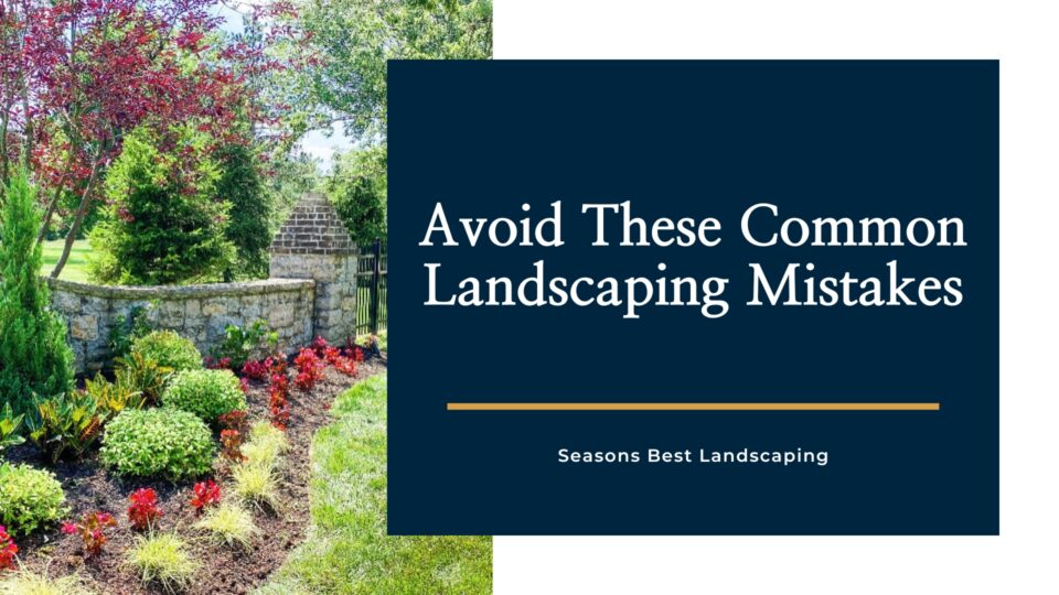 Landscaping Mistakes - Seasons Best Landscaping