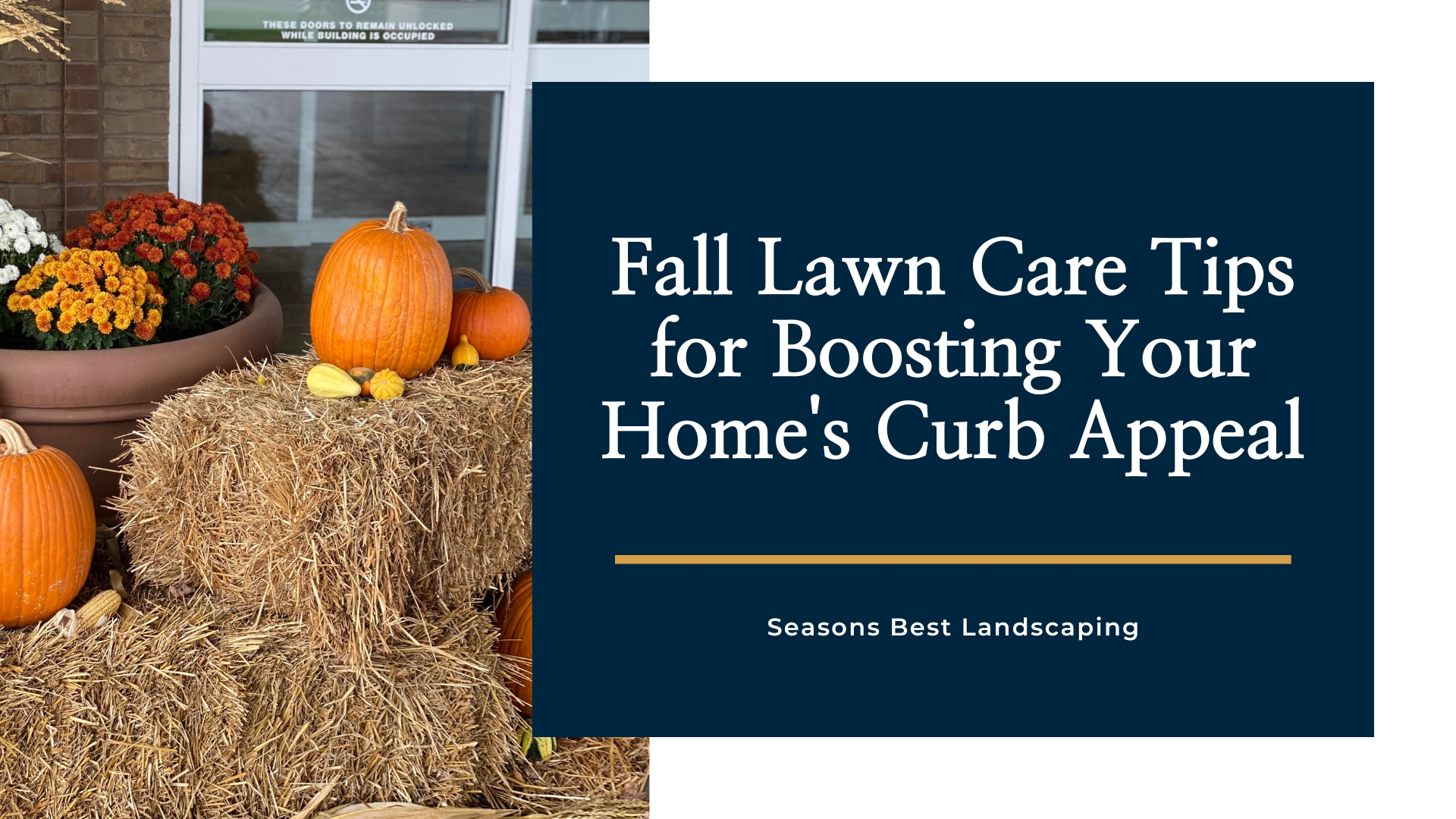 Lawn Care Tips for the Fall Blog Image - Seasons Best Landscaping