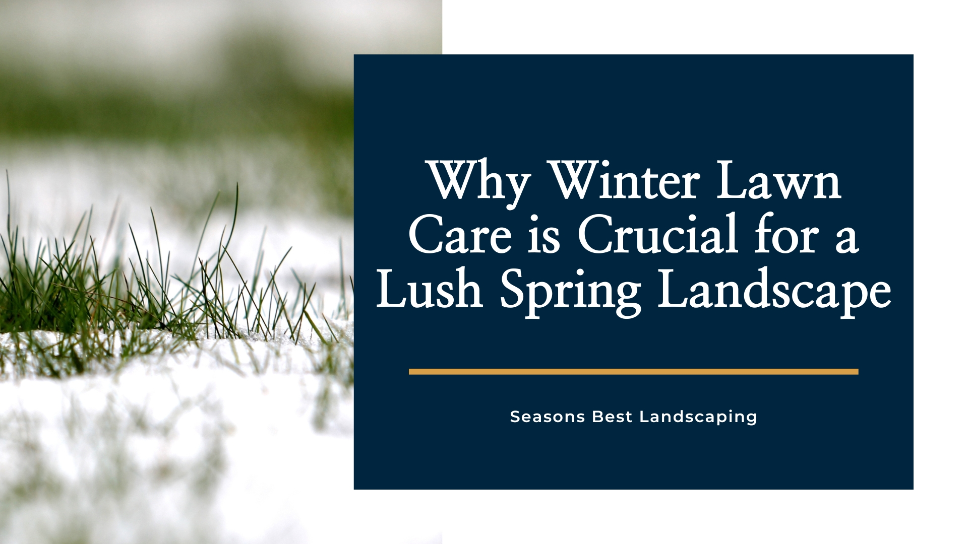 Lawn Care During Winter - Seasons Best Landscaping