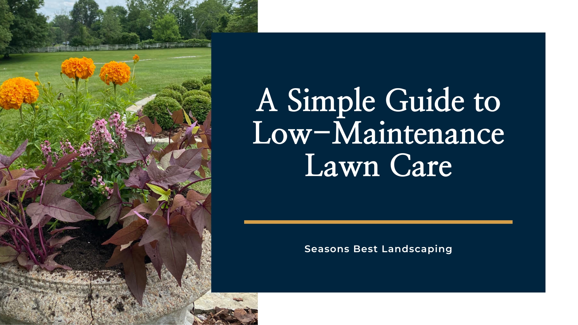 Maintenance Lawn Care Blog Image Seasons Best Landscaping
