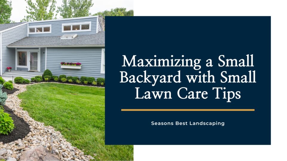 Small Lawn Care Blog Image Seasons Best Landscaping
