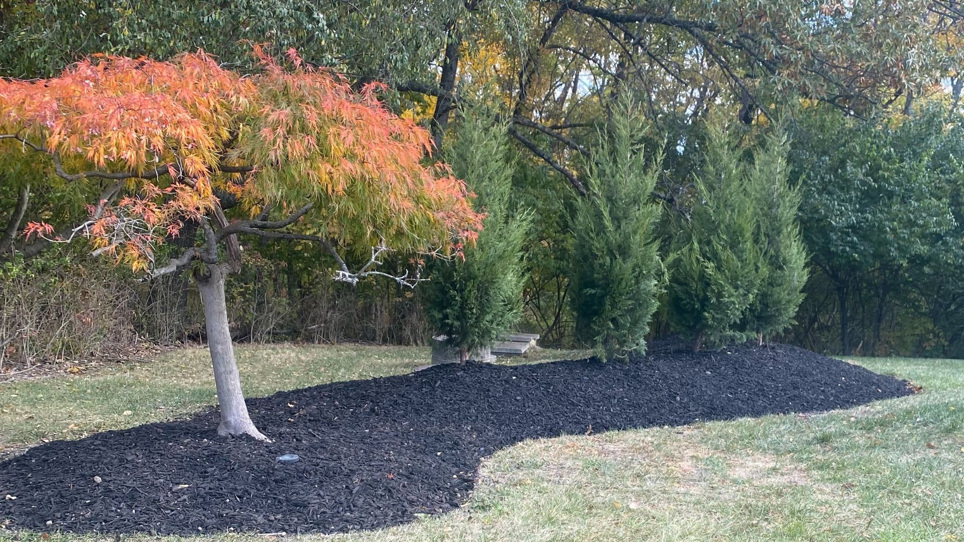 Tree Installation and Removal - Seasons Best Landscaping