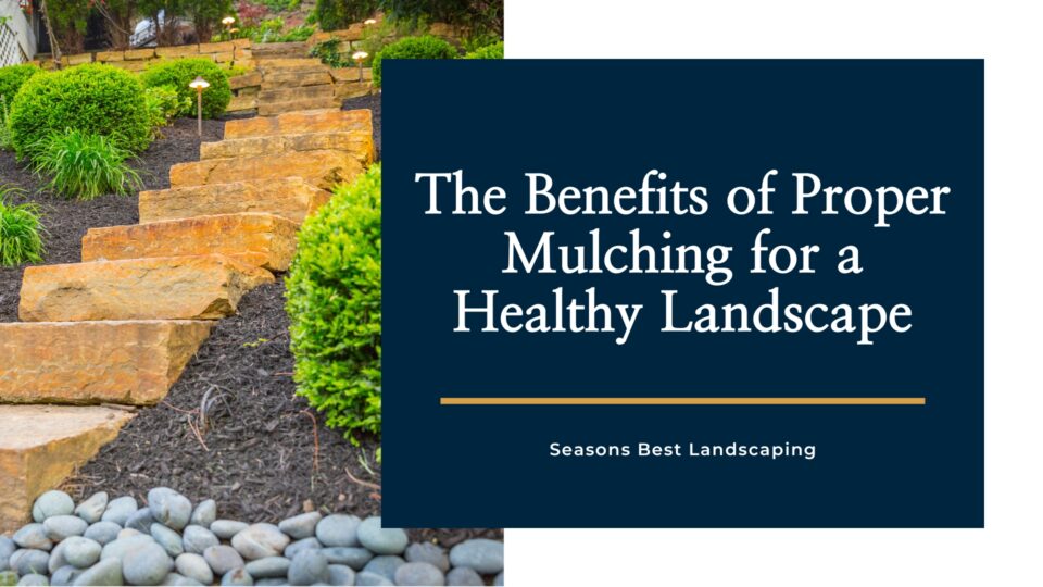 Proper Mulching - Seasons Best Landscaping