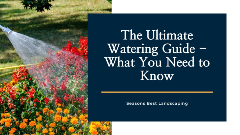 Watering Guide