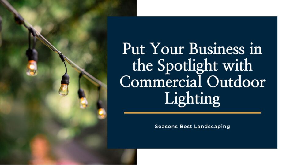 Commercial Outdoor Lighting
