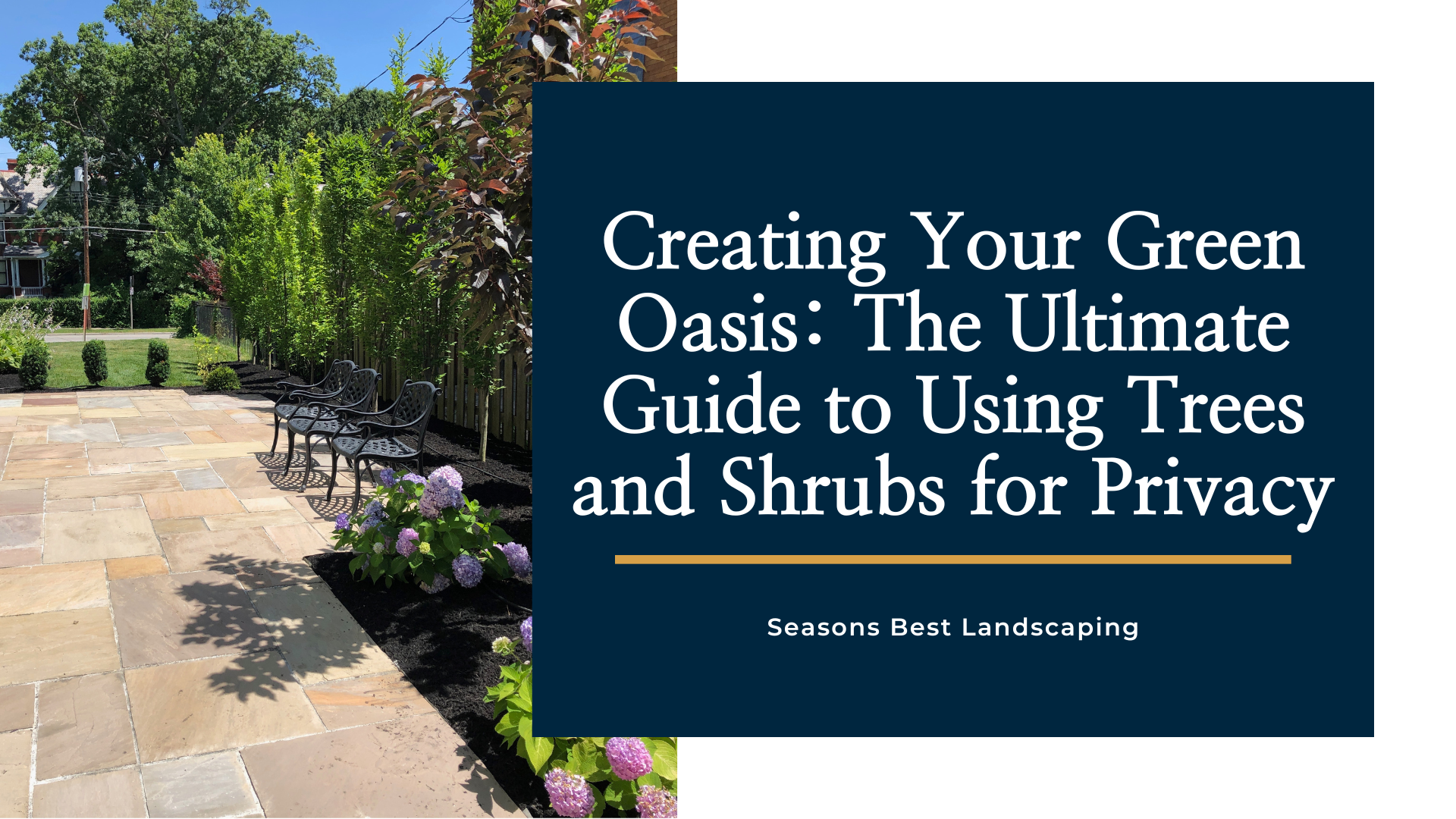 trees and shrubs for privacy