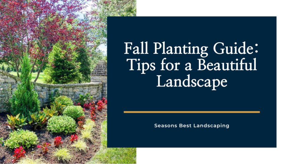 Best Fall Planting Guide and Tips