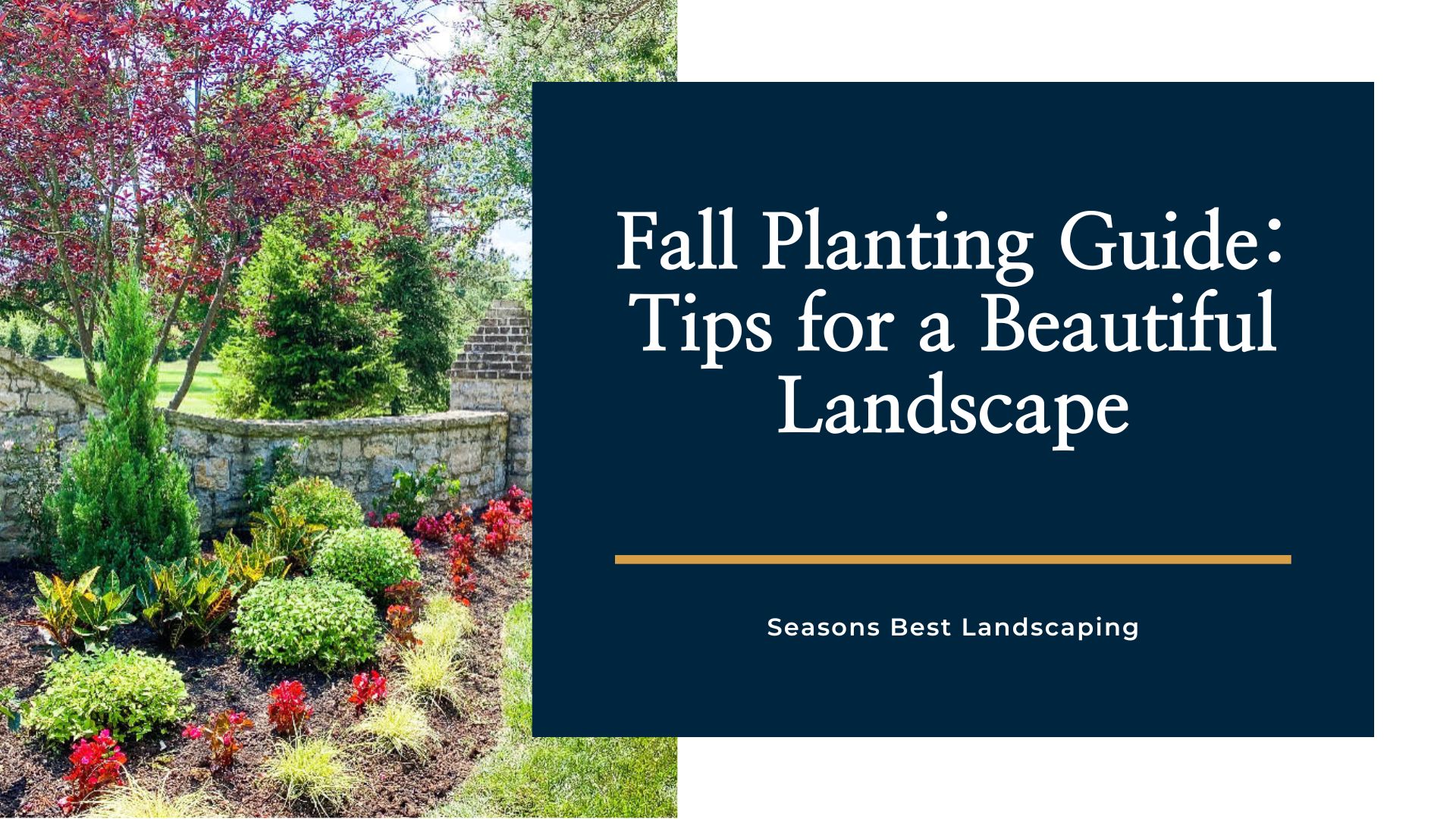 Best Fall Planting Guide and Tips