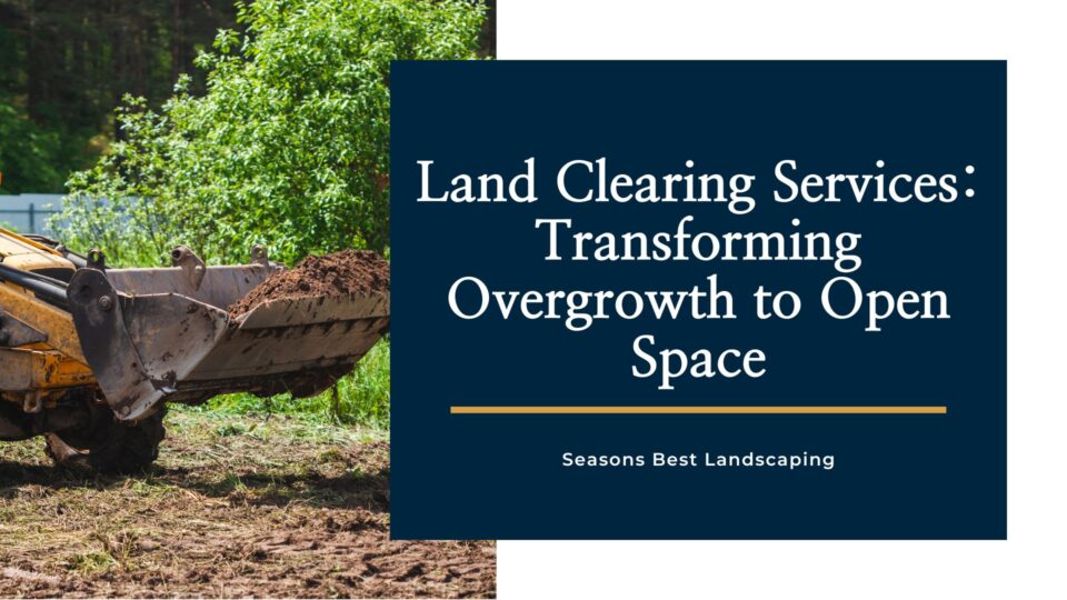 Land Clearing Services Transforming Overgrowth to Open Space