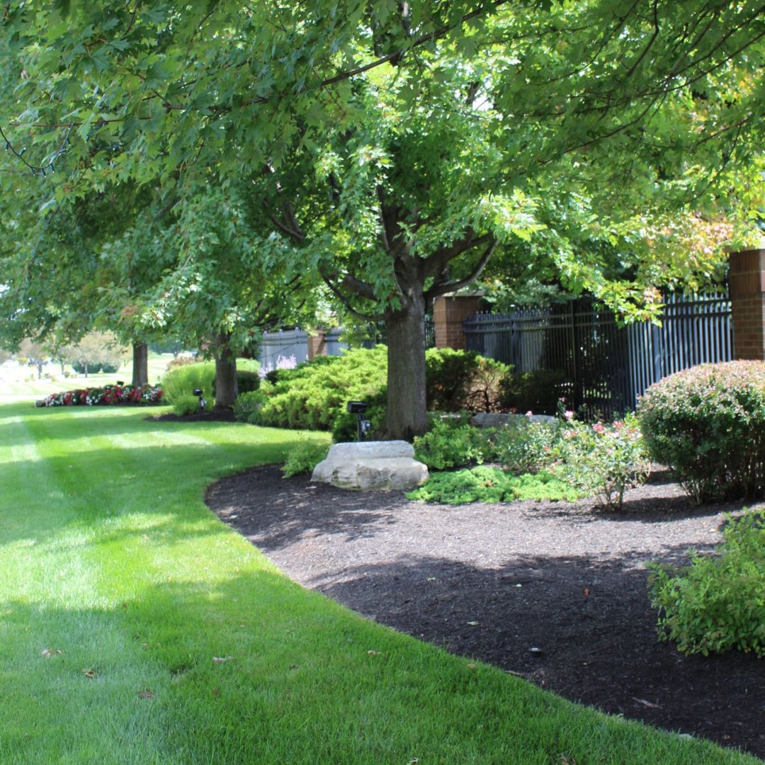 Commercial Landscape Design and Installation Mulch and Bushes