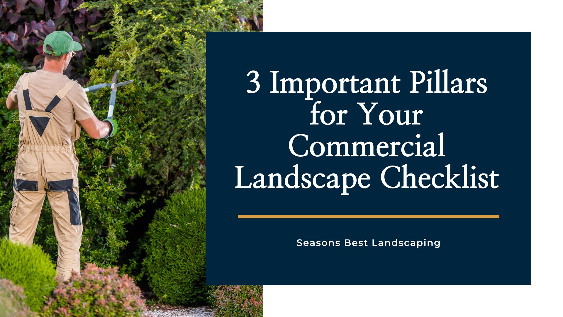 3 Important Pillars for Your Commercial Landscape Checklist Blog Image