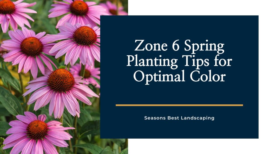 Zone 6 Spring Planting Tips for Optimal Color - Seasons Best Landscaping