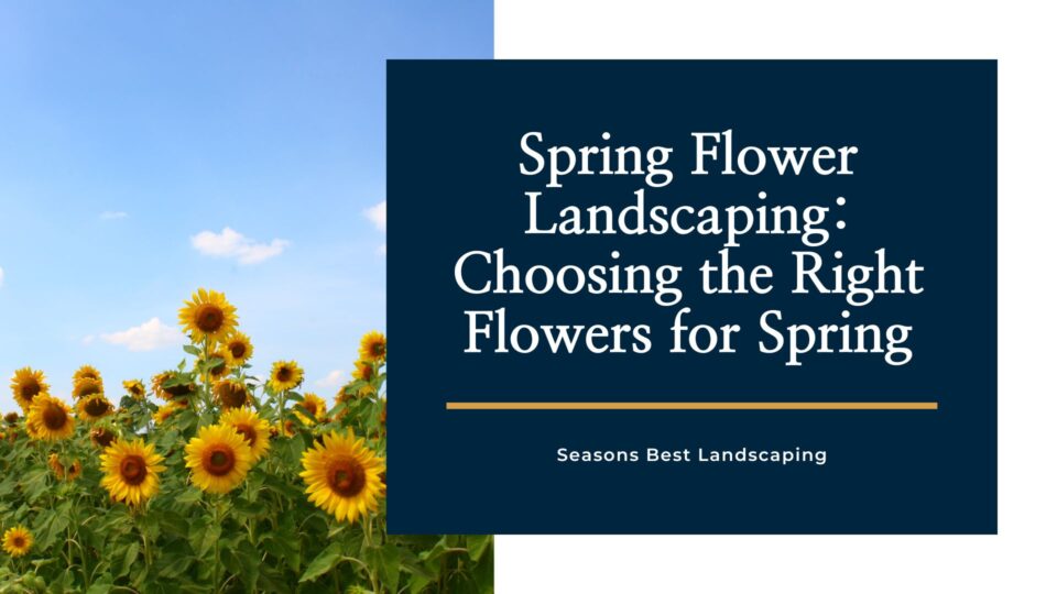 Spring Flower Landscaping Choosing the Right Flowers for Spring - Seasons Best Landscaping