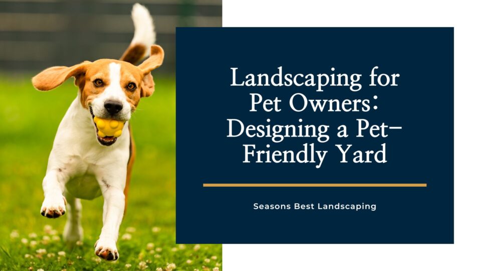 Designing a Yard with Pet-Friendly Landscaping