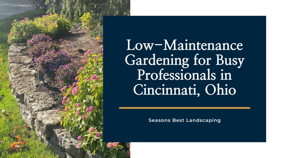 Low-Maintenance Gardening for Busy Professionals in Cincinnati, Ohio