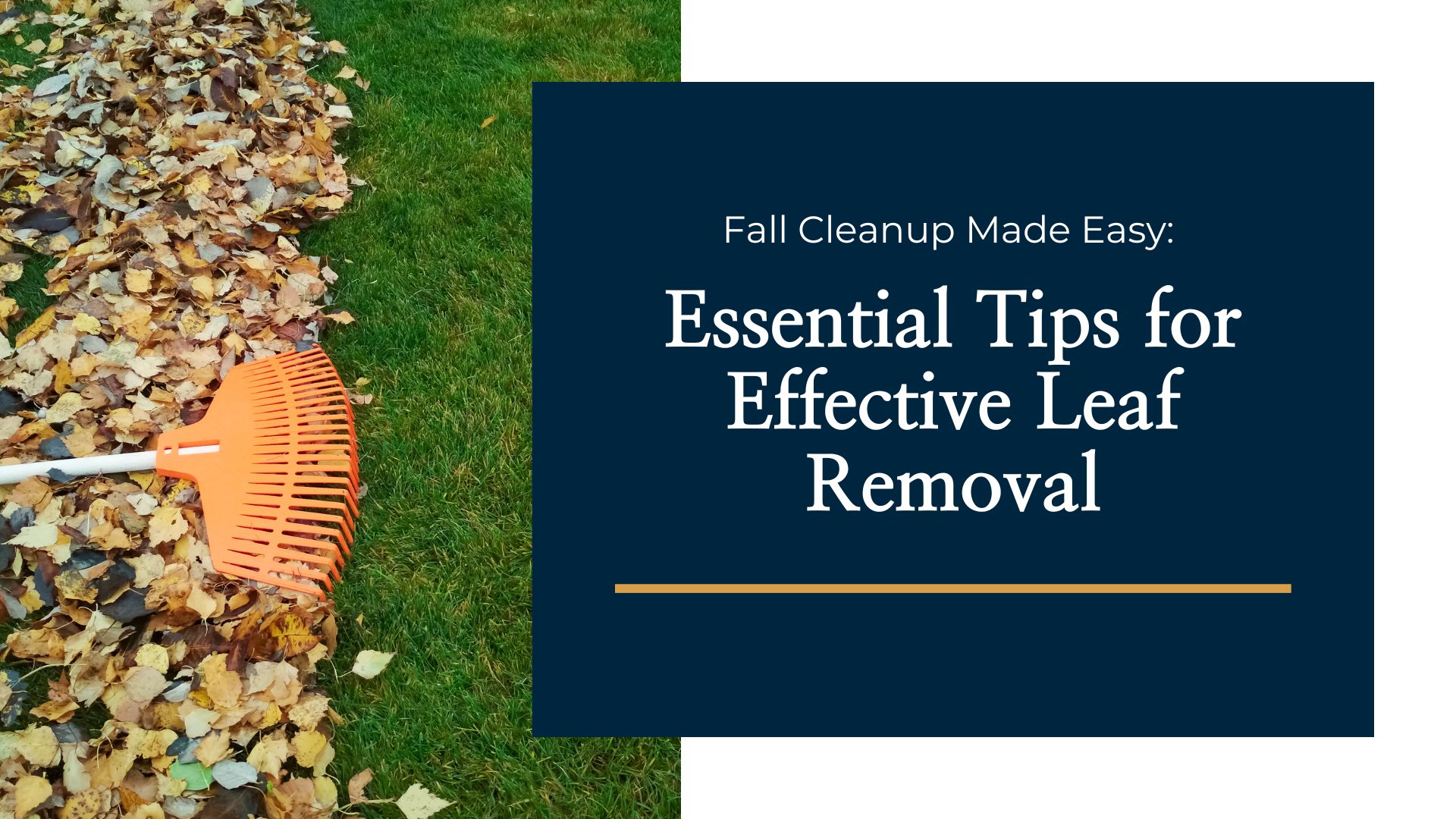 Fall Cleanup Made Easy Essential Tips for Effective Leaf Removal