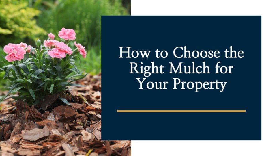 How to Choose the Right Mulch for You - Seasons Best Landscaping