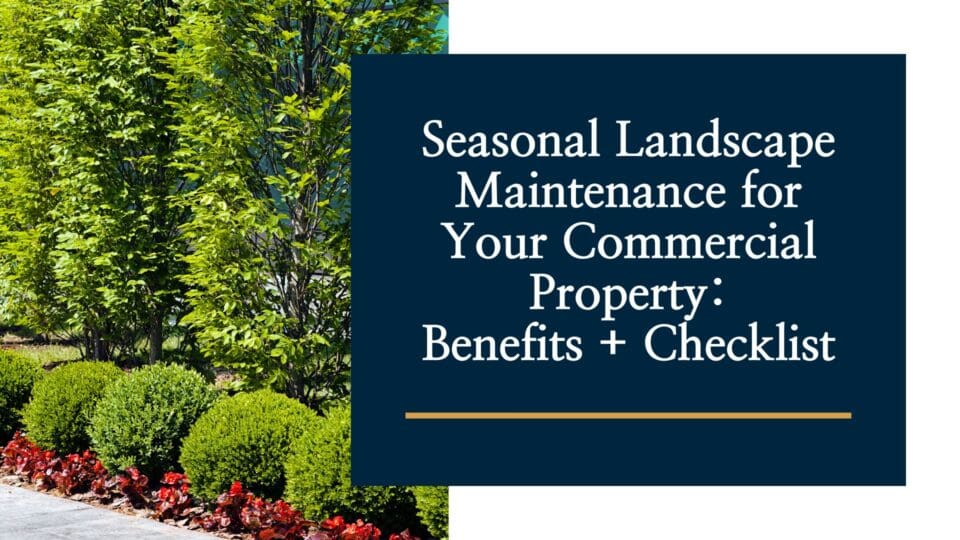 Seasonal Landscape Maintenance for Your Commercial Property: Benefits and Checklist - Image of a well-maintained commercial landscape with lush green bushes and flowers.