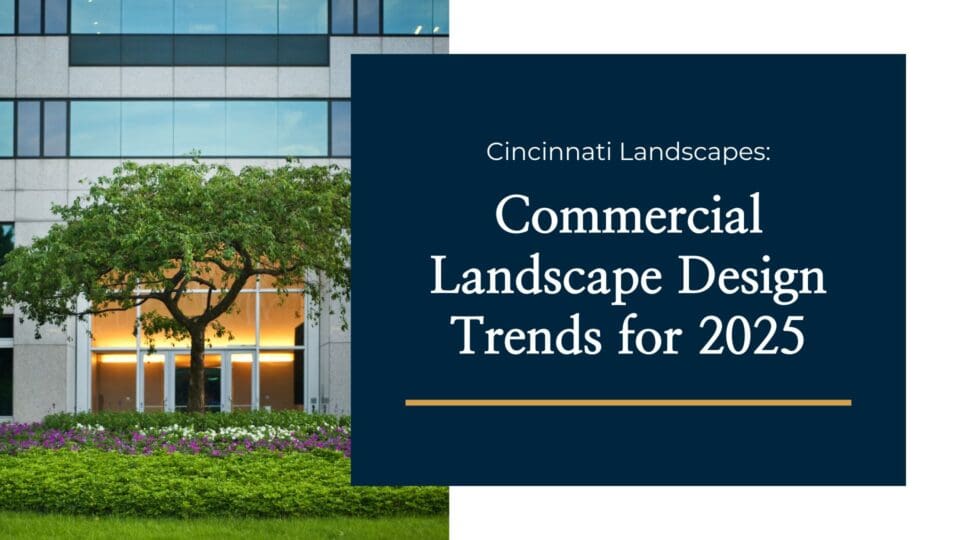 Commercial Landscape Design Trends for 2025