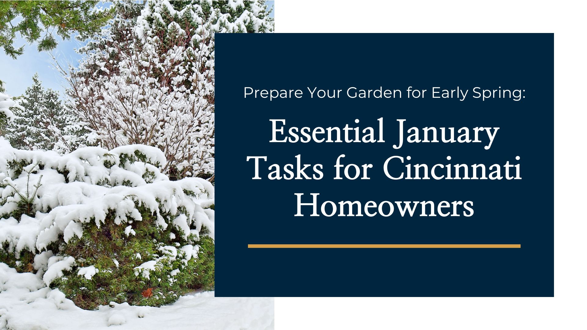 January Garden Preparation for Early Spring - Season Best Landscaping